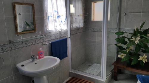 a bathroom with a sink and a shower at Westcoast Central Budget accommodation in Vredenburg