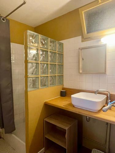 a bathroom with a sink and a shower at Les Gites Saint Aignan - Proche du Zoo de Beauval in Saint-Aignan