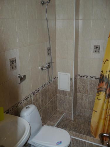 ラザレフスコエにあるInn Palladaのバスルーム(シャワー、トイレ、洗面台付)