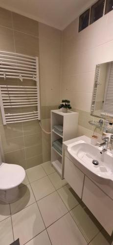 a bathroom with a toilet and a sink at Apartment KRIVÁŇ in Vyšné Hágy