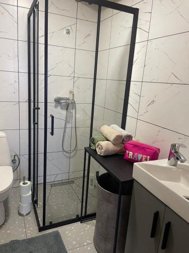 ein Badezimmer mit Dusche und Waschbecken in der Unterkunft Zwinger in Pilipets