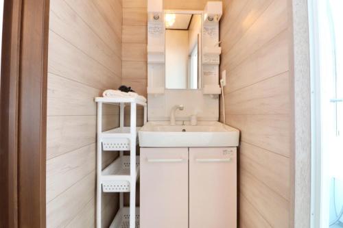 a small bathroom with a sink and a mirror at TOHANA Style ペット宿泊可能 カラオケルーム有り in Hanamaki