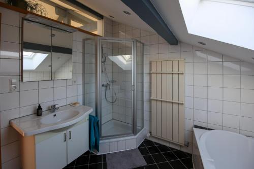 a bathroom with a shower and a sink at Ferienwohnung Vögel in Langenegg
