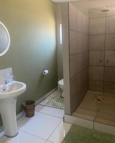 a bathroom with a shower and a sink and a toilet at Little Amanzi in Pienaarsrivier