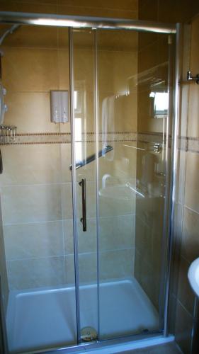a shower with a glass door in a bathroom at Rockville House B&B in Cashel