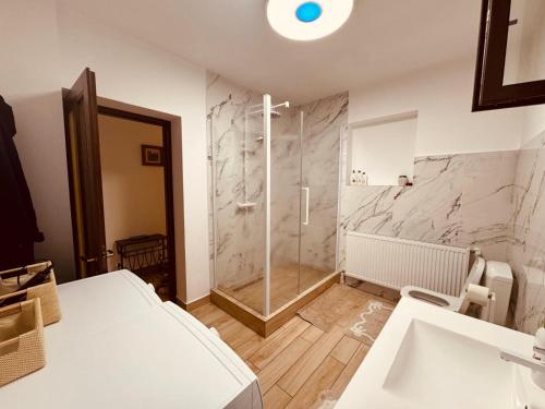 a bathroom with a shower and a sink at Andrei's house in Sinaia