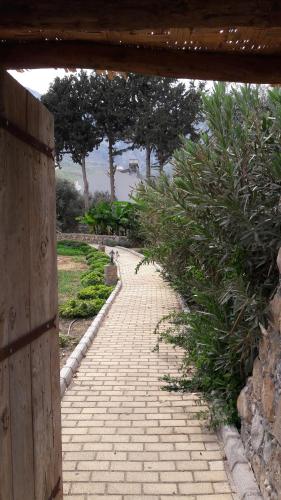 Un jardín fuera de Olive Garden