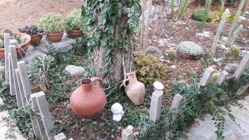 Un jardín fuera de Olive Garden