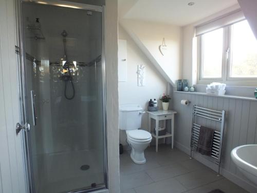 a bathroom with a shower and a toilet and a sink at Baytree Bed and Breakfast in Carmarthen