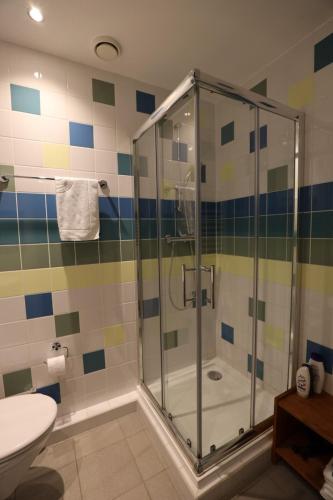 a bathroom with a shower with a toilet and a sink at B&B Des4seigneurs in Gedinne