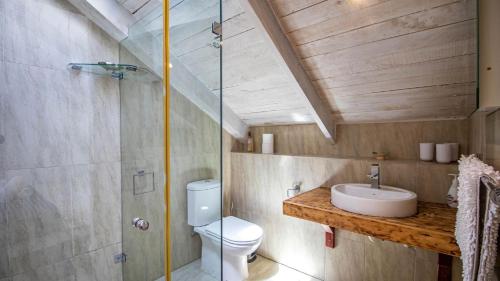 a bathroom with a toilet and a sink and a shower at Griki in Paternoster