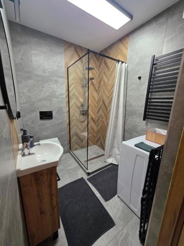 a bathroom with a shower and a sink at Family House B in Witów