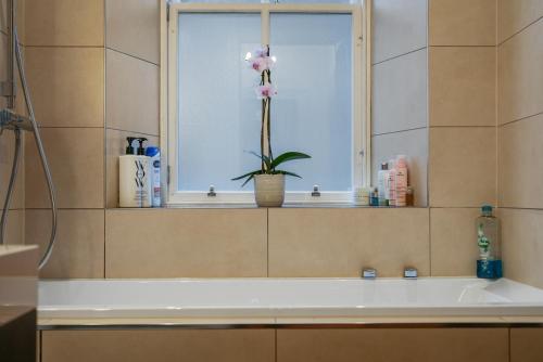 Merchiston 1 Room in Shared Apartment with Parking - Edinburgh photo 19