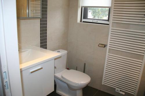 a bathroom with a toilet and a sink and a window at Heggerank 3A in Nieuwvliet
