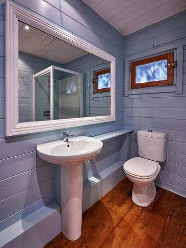 a blue bathroom with a sink and a toilet at Mas Des Fleurs - Olive House in Perpignan