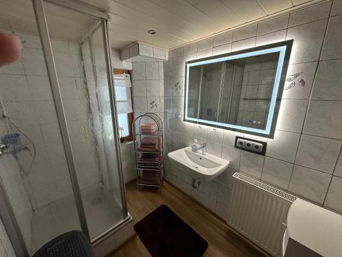 ein Badezimmer mit Dusche, Waschbecken und Spiegel in der Unterkunft Ferienwohnung Eifler in Lam