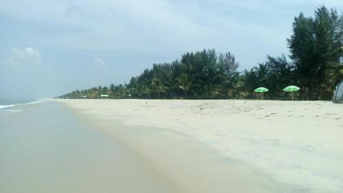 a sandy beach with umbrellas and trees on it at Marari Umapathi Beach Villa in Mararikulam
