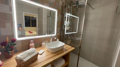 a bathroom with a white sink and a shower at L'Aparté des hibiscus in Les Trois-Îlets