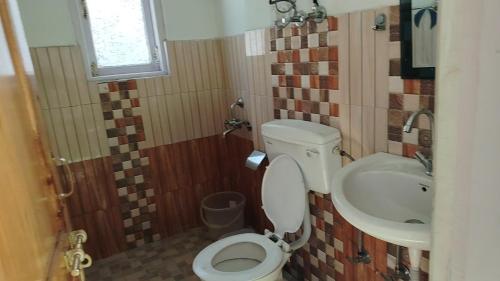 a small bathroom with a toilet and a sink at Apple Garden Aleo in Manāli