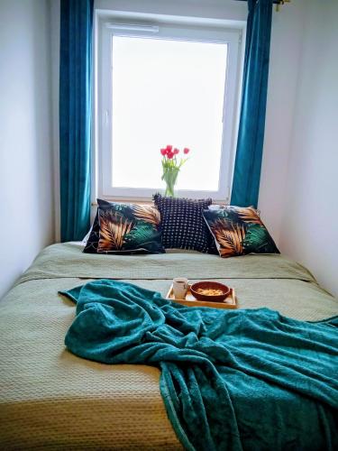 Apartment Moderna