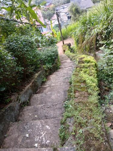 an old stone path in a garden with plants at Squirrel's Nest in Kandy