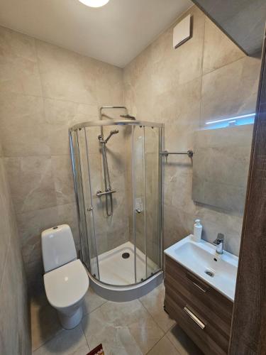 a bathroom with a shower and a toilet and a sink at Muskatas in Rietavas