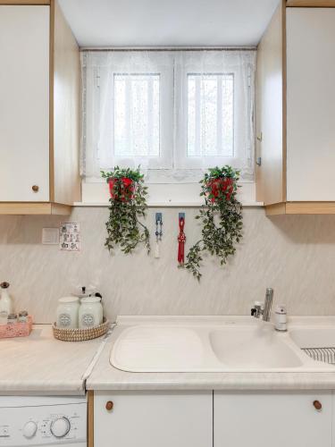 a kitchen with a sink and red flowers on the wall at Stone Haven & Garden near the Sea in Methoni