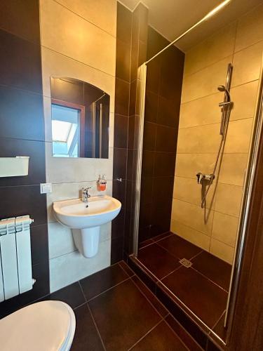 a bathroom with a sink and a shower and a toilet at Noclegi Kołek in Pogórze