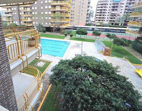 BENIPAL Superior Orangecosta