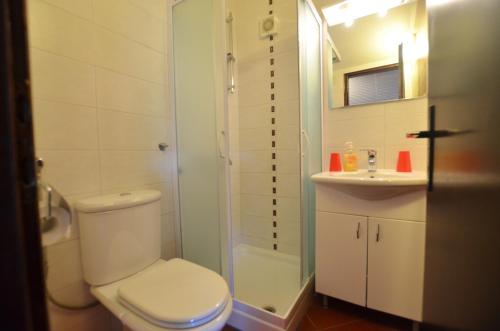 a bathroom with a toilet and a shower and a sink at GALANT apartments in Rovinj