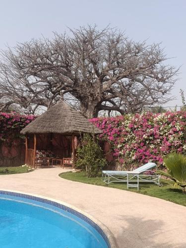 Swimmingpoolen hos eller tæt på Keur baobab