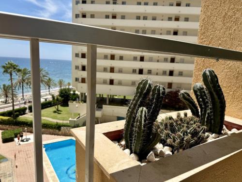 Apartamento boho con terraza