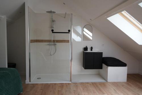 a bathroom with a shower in a attic at Maison de ville à Etampes in Étampes