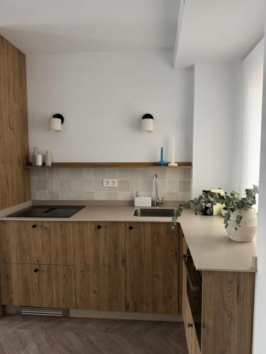 a kitchen with a sink and a counter top at Hurtado Siete in Jaén