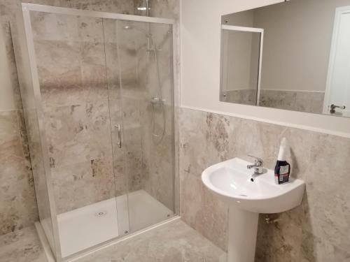 a bathroom with a shower and a sink and a mirror at The Patrick Lofts in Cork