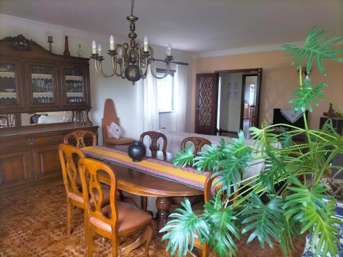 a dining room with a table and some plants at AFIFE "Porta da Alegria" in Viana do Castelo