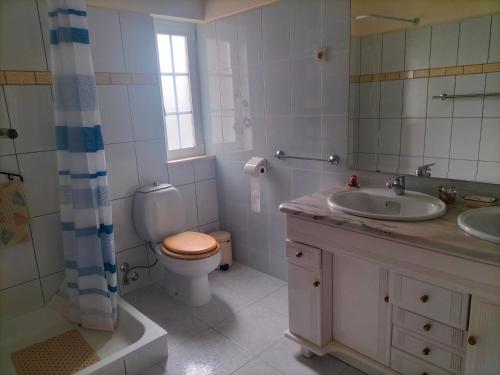 a bathroom with a toilet and a sink and a shower at AFIFE "Porta da Alegria" in Viana do Castelo