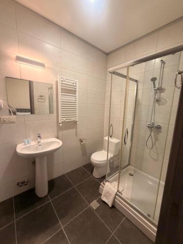 a bathroom with a sink and a shower and a toilet at Natali Apart-hotel in Tbilisi City