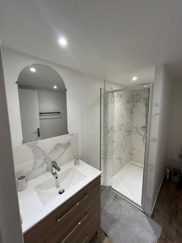 a bathroom with a white sink and a shower at Le cocon des Sacres in Reims