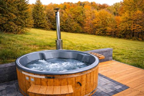 Leśna Muzyka Apartment Limanowa