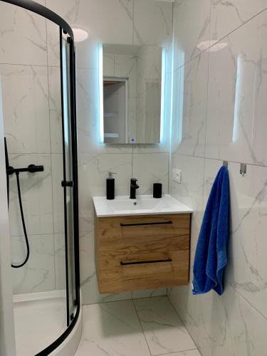a bathroom with a sink and a shower at Domek Wśród Pól z Balia Jacuzzi in Rawa