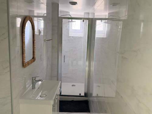 un bagno bianco con doccia e lavandino di Sublime appartement T3 a Pierrelaye