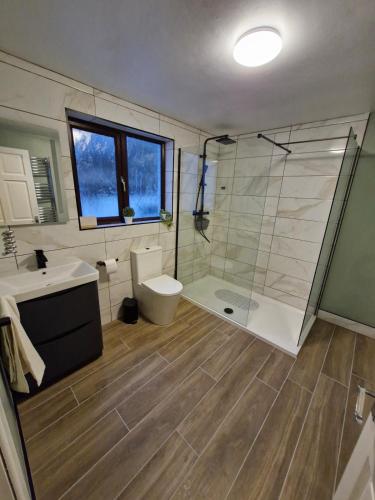 a bathroom with a shower and a toilet and a sink at Kellys Place Derry City Centre in Derry Londonderry