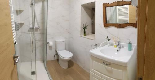 a bathroom with a toilet and a sink and a shower at A casa do lajueiro in Arzúa