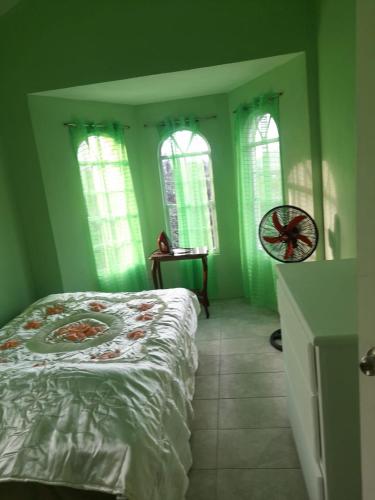 a bedroom with green walls and a bed and windows at Villa village 02 in Saint Lucia Island