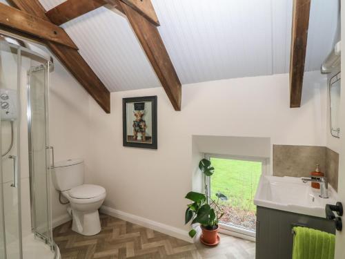 a bathroom with a toilet and a sink at The Loft in Kilkenny