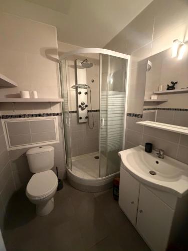 a bathroom with a shower and a toilet and a sink at L'instant Nevers in Charleville-Mézières