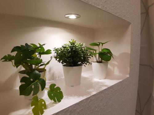 three potted plants are sitting on a shelf at Ferienwohnung Strickert in Stexwig in Stexwig