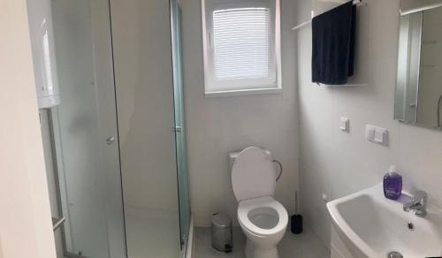 a bathroom with a shower and a toilet and a sink at Domček in Budimír