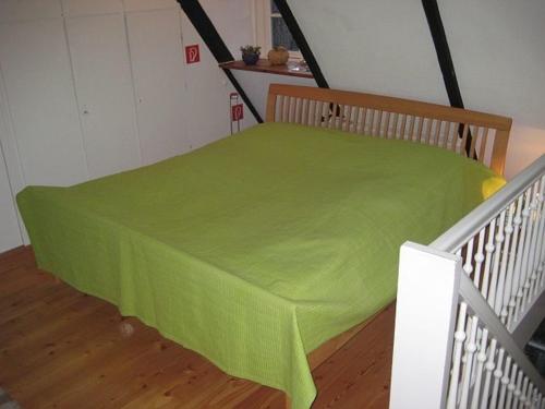 a bed with a green cover on top of a room at Ferienhaus von der Ahe in Mohrkirch